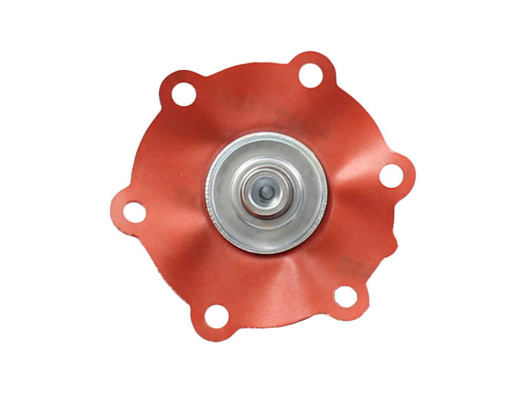 Porsche Fuel Pump Diaphragm Results